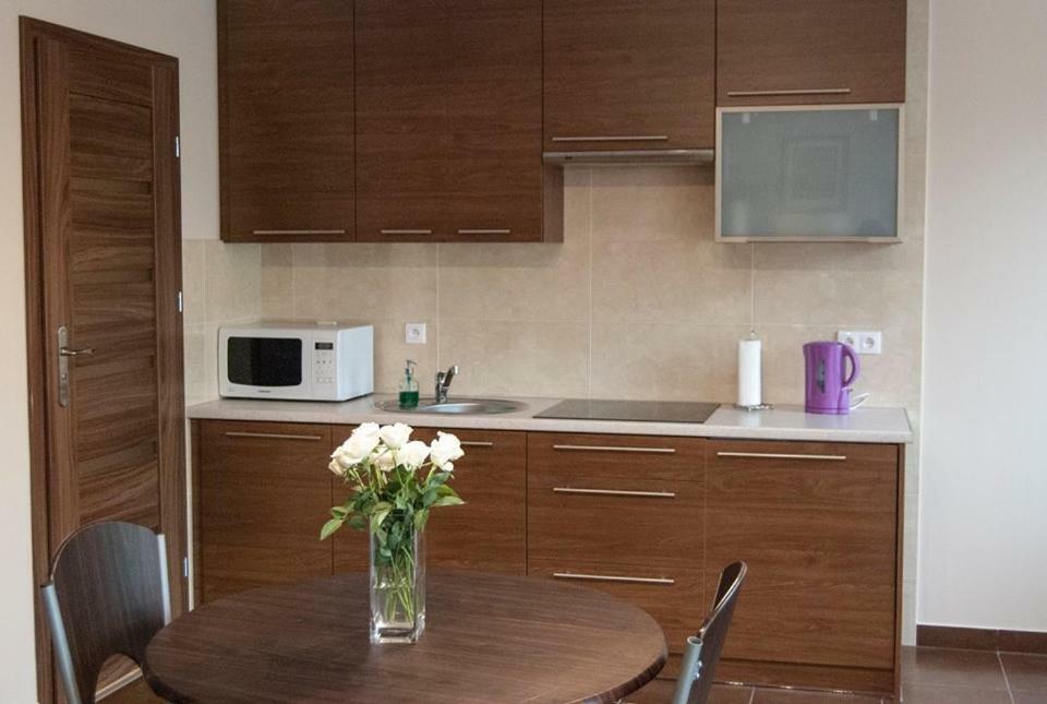 Apartment Apartamenty Gizycko Gizycko