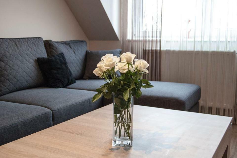 Apartamenty Gizycko Apartment